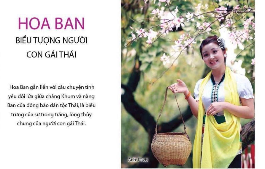 Agri Hotel Diện Biên Phủ المظهر الخارجي الصورة